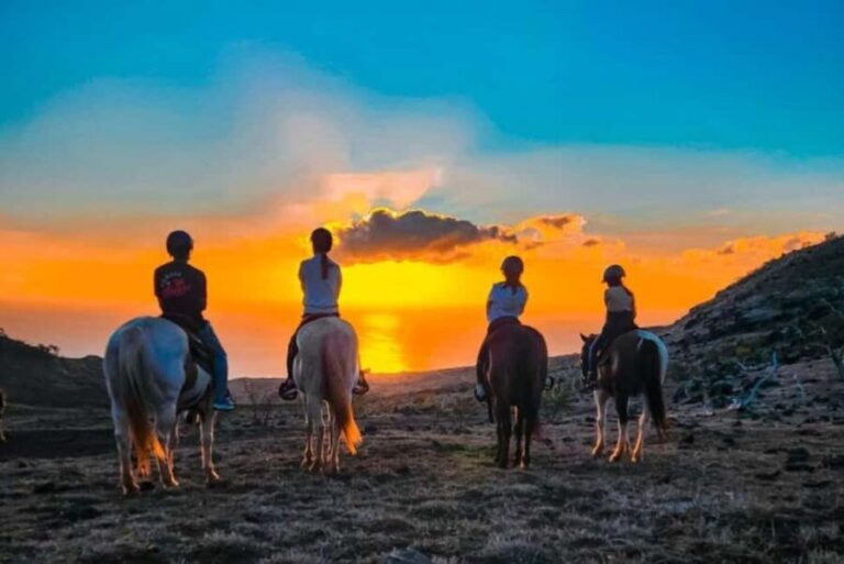 Oahu: Horseback Riding Sunshine or Sunset Tour - What to Expect During the Ride