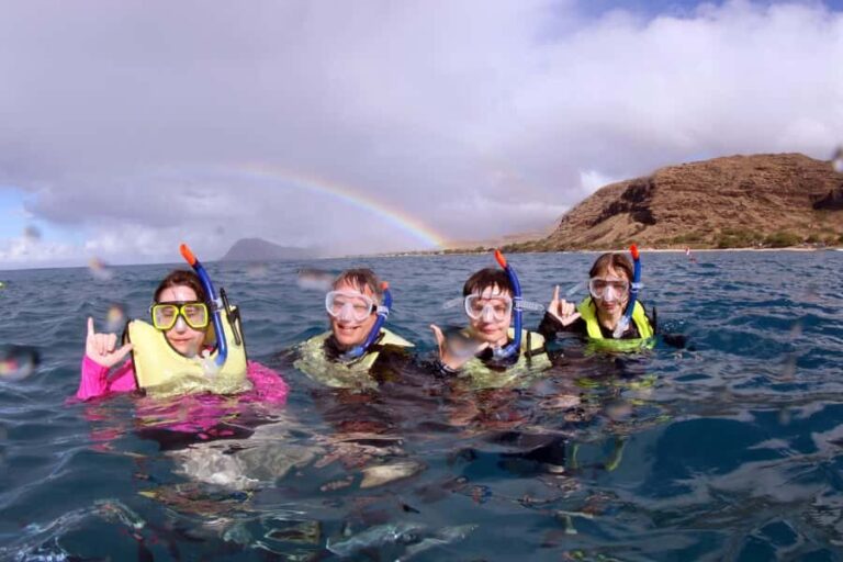 Oahu: Premium Snorkeling Cruise, Whale & Dolphin Watching - Who Will Love This Tour?