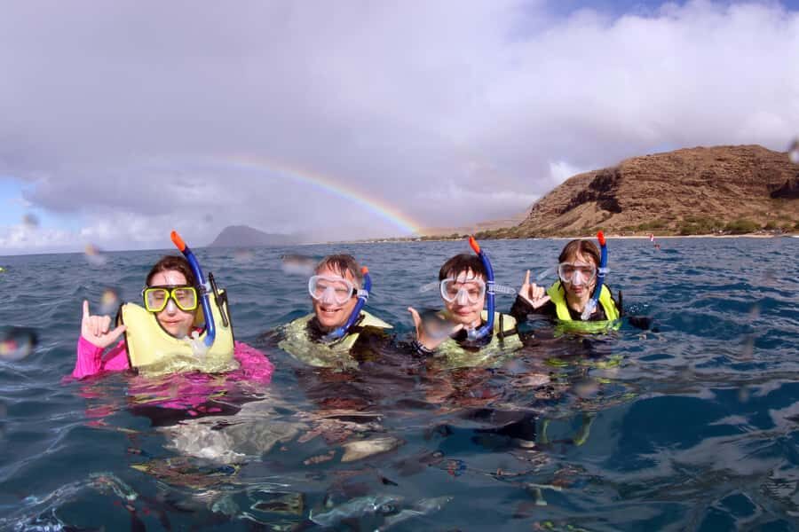 Oahu: Premium Snorkeling Cruise, Whale & Dolphin Watching - Who Will Love This Tour?