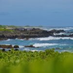Oahu: Private Tour-Circle Island-Customizable - The Itinerary: A Day in Paradise