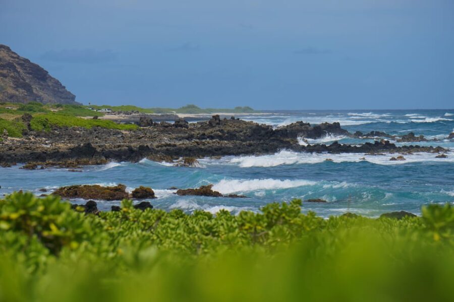 Oahu: Private Tour-Circle Island-Customizable - The Itinerary: A Day in Paradise