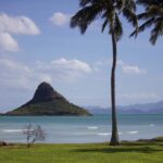 Oahu Sights and Shopping Slingshot Tour - Who Is This Tour Perfect For?