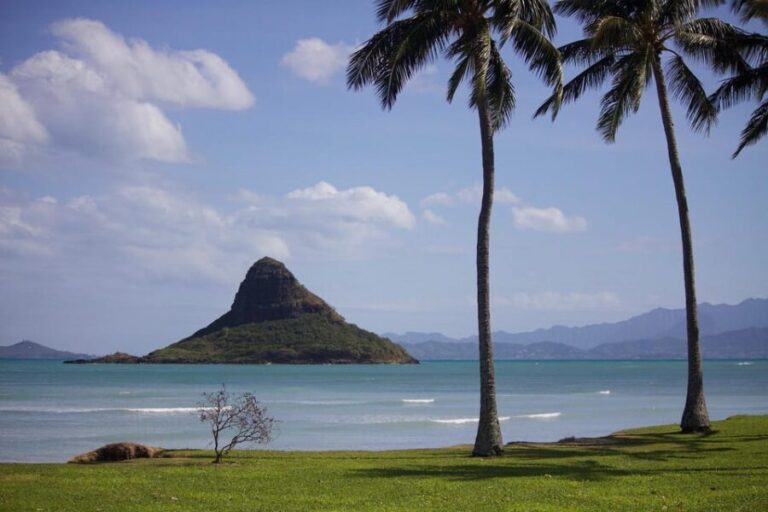 Oahu Sights and Shopping Slingshot Tour - Who Is This Tour Perfect For?