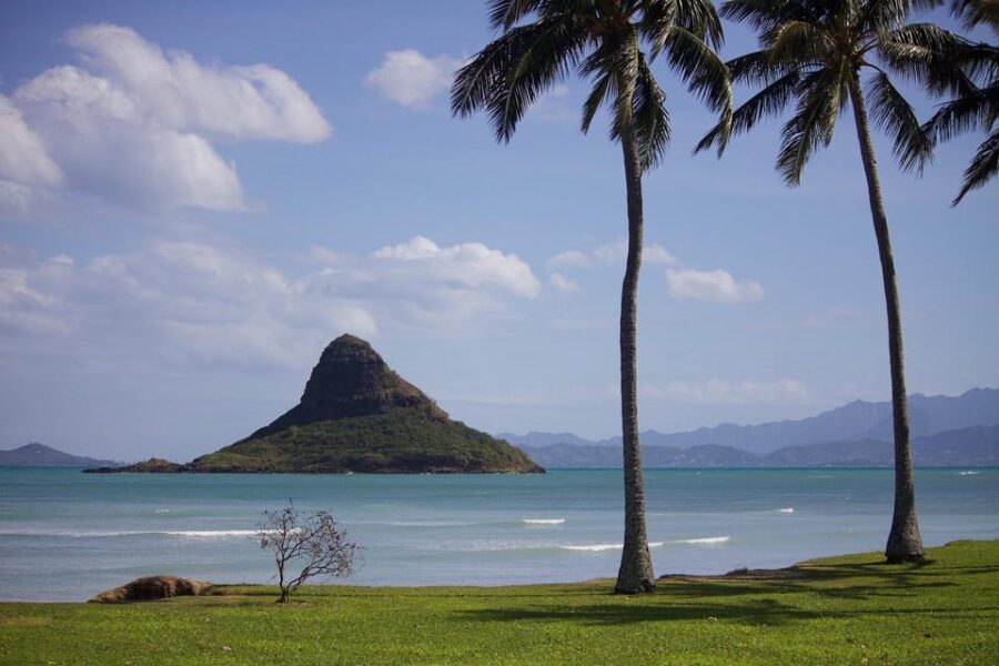 Oahu Sights and Shopping Slingshot Tour - Who Is This Tour Perfect For?