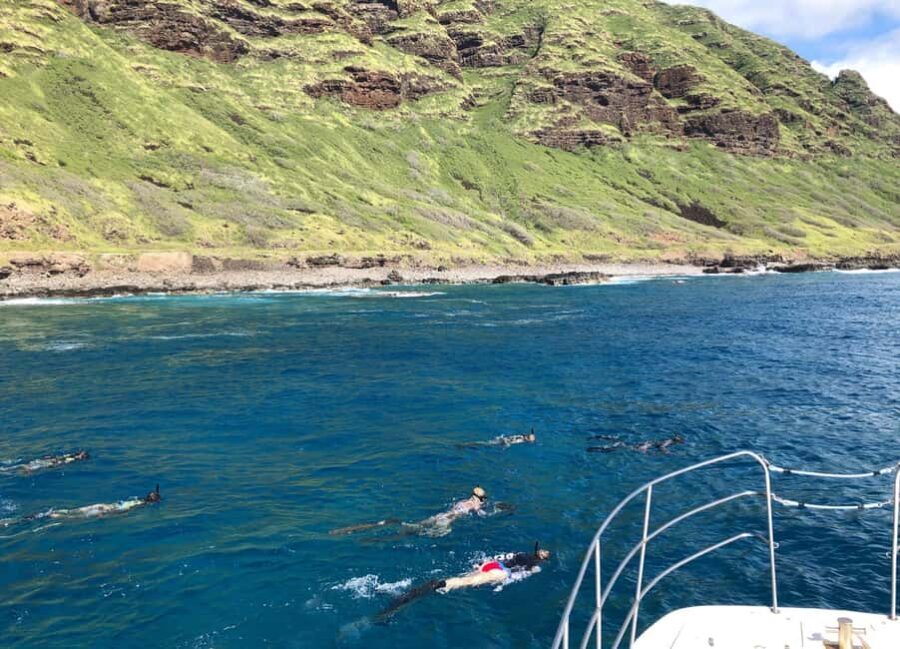 Oahu: Snorkel Adventure in Marine Sanctuary - Why this tour stands out
