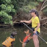 Oahu: SUPDog Experience - Paddle Board with Rescue Dogs - Is It Worth the Cost?