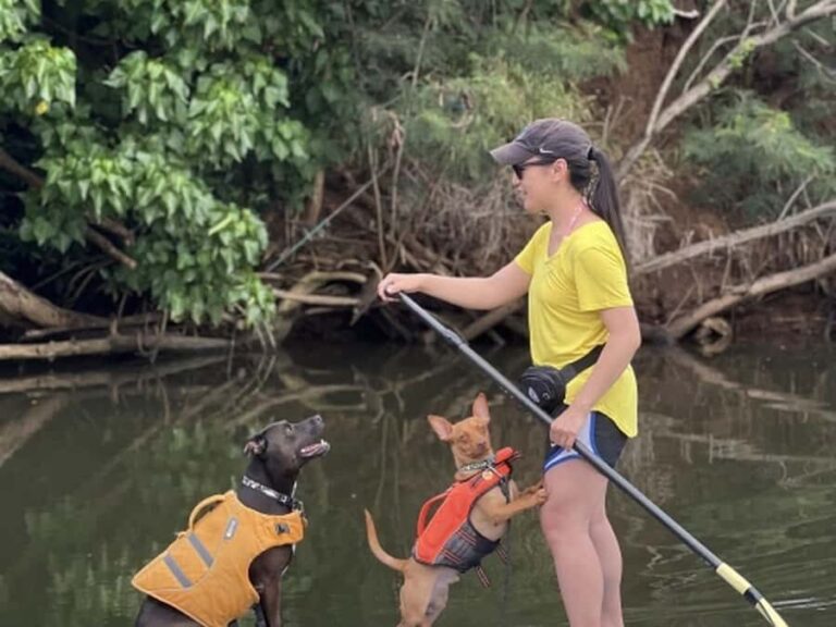 Oahu: SUPDog Experience - Paddle Board with Rescue Dogs - Is It Worth the Cost?