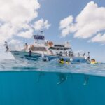 Oahu: Turtle Canyon Snorkeling & Hula Show - The Experience Through the Eyes of Reviewers