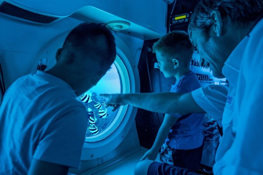 Oahu: Waikiki Submarine Tour - The Value of This Experience