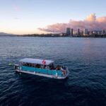 Oahu: Waikiki Whale Watch Boat Tour - The Sum Up: Who Should Book This Tour?