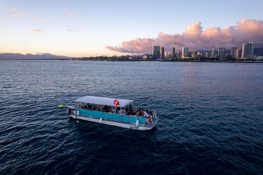 Oahu: Waikiki Whale Watch Boat Tour - The Sum Up: Who Should Book This Tour?