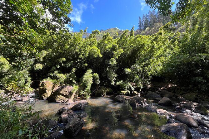 Oahu Waterfall Hike-Garden-Beach Road Trip, Waikiki to Lanikai - Who Will Love This Experience?