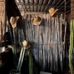 Oaxaca: Aguamiel, Pulque and Mezcal Tasting - Who Will Love This Tour?