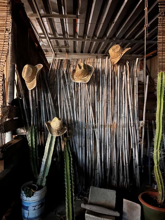 Oaxaca: Aguamiel, Pulque and Mezcal Tasting - Who Will Love This Tour?