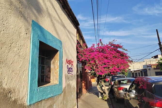 Oaxaca: Beyond the surface - What Travelers Say