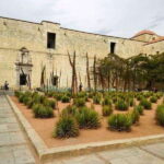 Oaxaca : City Tour - Who Should Consider This Tour?