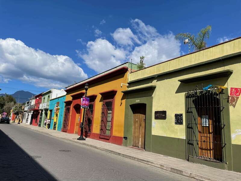 Oaxaca City Walking Tour - Markets, Textile museum & Lunch - Who Will Love This Tour?