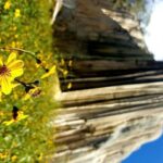 Oaxaca Conmigo Private Tours - How the Experience Comes to Life