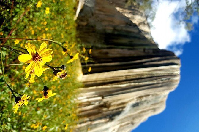 Oaxaca Conmigo Private Tours - How the Experience Comes to Life