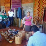 Oaxaca: El Tule, Mitla, and Hierve el Agua Tour with Mezcal - El Tule: A Tree Like No Other