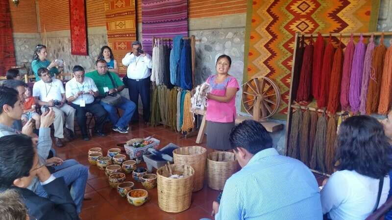 Oaxaca: El Tule, Mitla, and Hierve el Agua Tour with Mezcal - El Tule: A Tree Like No Other