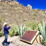 Oaxaca: Exclusive Private Yagul UNESCO Heritage Site Tour - The Value of a Private Tour