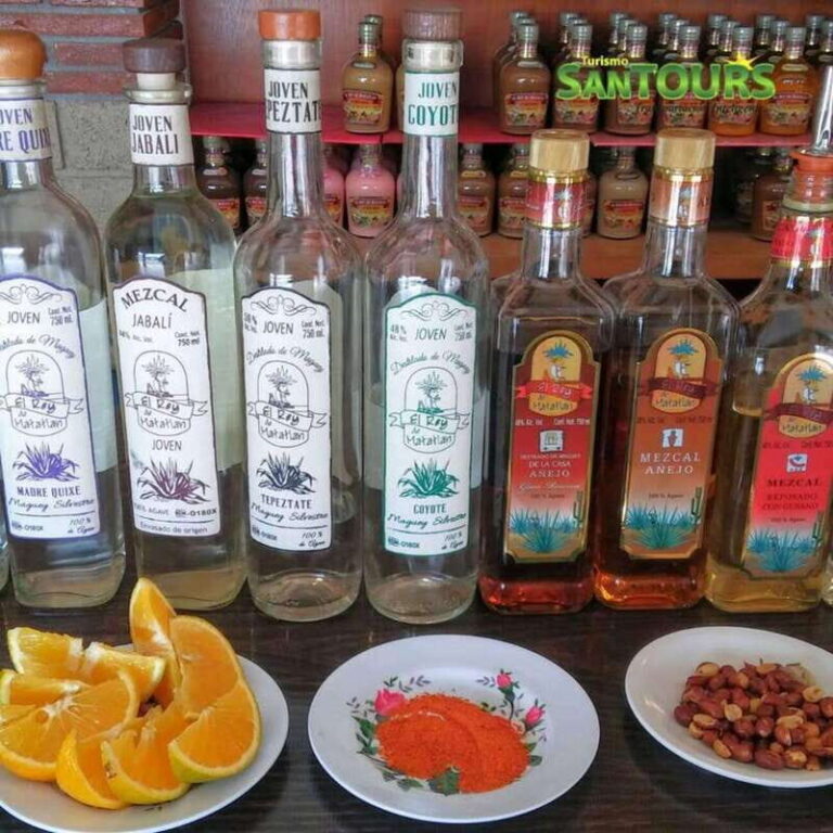 Oaxaca: Hierve el Agua Tour - Exploring the Itinerary: What You’ll See and Experience