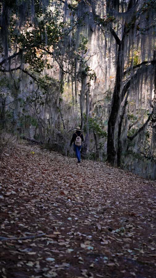 Oaxaca: Hiking Tour In the Sierra Norte With Lunch - The First Descent and River Breaks