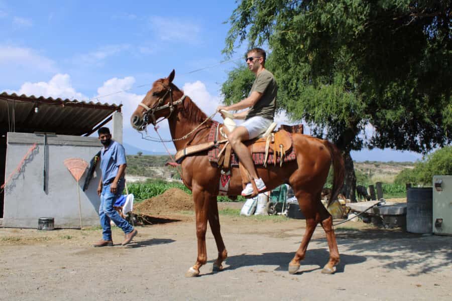 Oaxaca: Horseback Riding and Mezcal Tasting Tour - The Horseback Riding Adventure