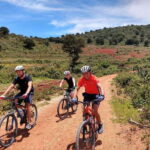 Oaxaca: La Culebra - Las Salinas 1 Day Bike tour - Practical Details and What Makes This Tour Stand Out