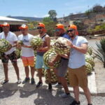 Oaxaca: Mezcal Adventure - The Value of the Tour