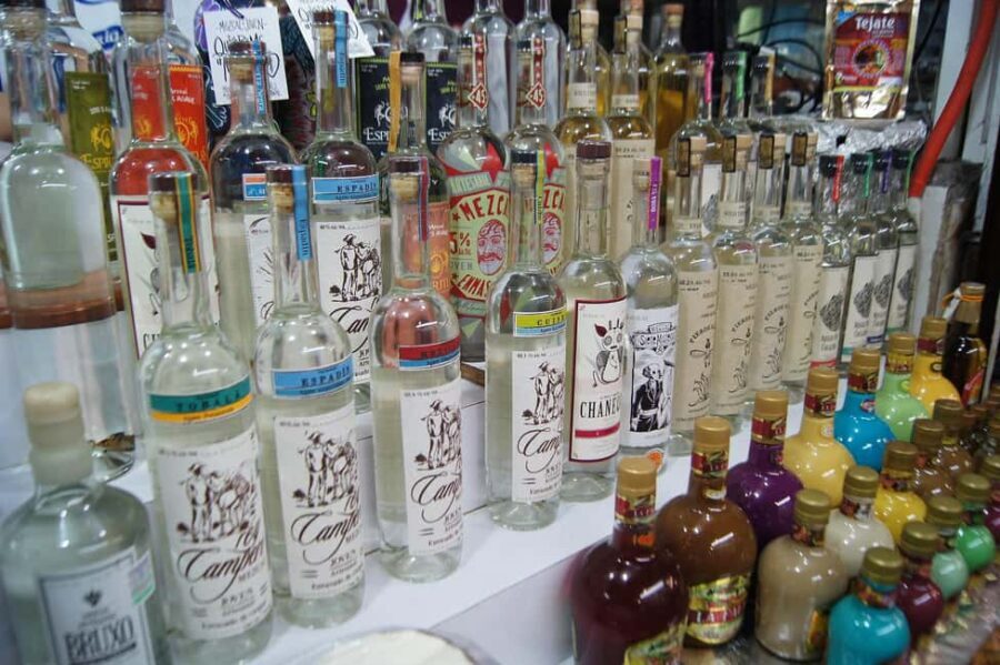 Oaxaca: Mezcal Tasting & Barrel Ride - Who Should Take This Tour?