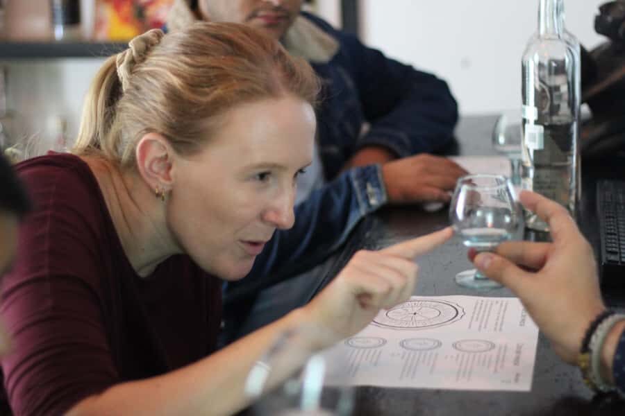 Oaxaca: Mezcaleria in the City Walking Tour - Who Will Love This Experience