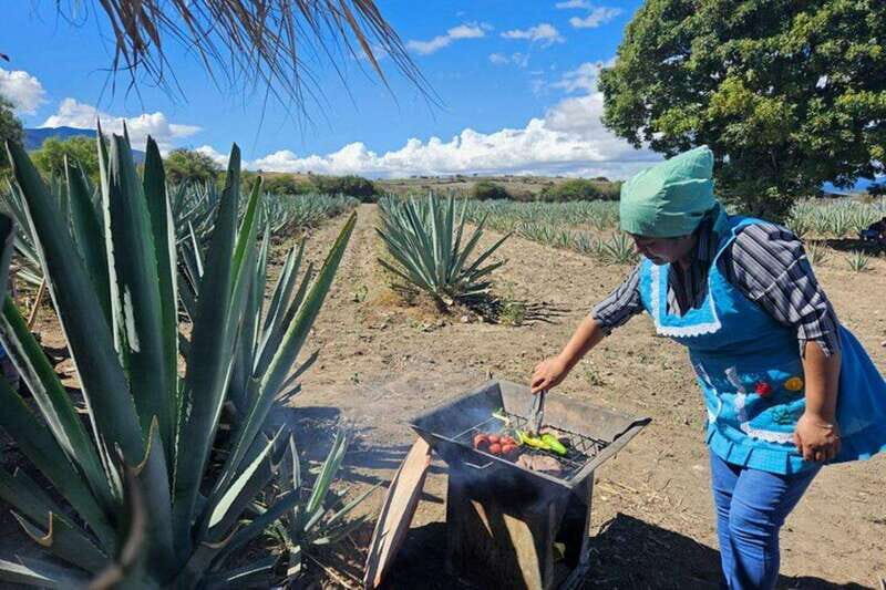 Oaxaca: Private Lunch in Maguey Fields with Mezcal Tasting - The Mezcal Experience: More Than Just a Sip