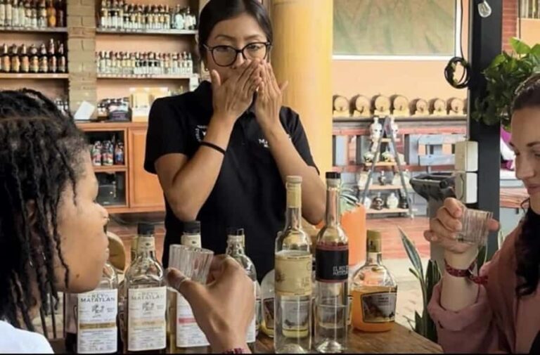 Oaxaca: Private tour to Monte Albán, El Tule Tree, and Teotitlán - Whats Included and What to Keep in Mind