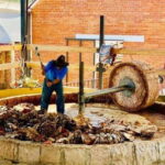 Oaxaca: Tlacochahuaya, Mezcal and Teotitlán del Valle Tour - Who This Tour Is Best For