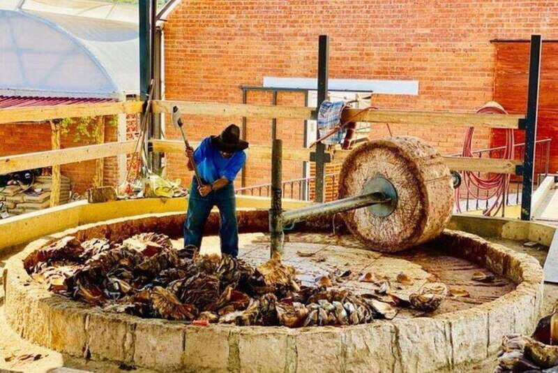 Oaxaca: Tlacochahuaya, Mezcal and Teotitlán del Valle Tour - Who This Tour Is Best For