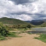 Oaxaca to Tule Tree Bike Tour - 6 hours - Who Will Love This Tour?