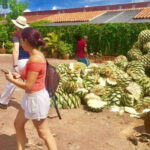 Oaxaca: Traditional Market Private Tour - Key Points