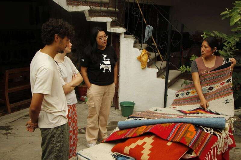 Oaxaca: Zapotec Roots, Mezcal and Textiles Tour - Who Should Consider This Tour?