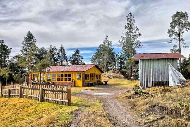 Oaxaca: Zipline, Nature Walk and Gastronomy Tour - Analyzing the Value