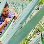 Oaxacan Mezcal Tour - Price and Value Analysis