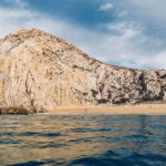 Ocean Safari in San Jose del Cabo - Breaking Down the Cost & Overall Value