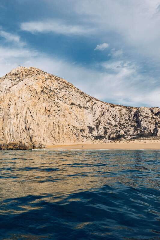 Ocean Safari in San Jose del Cabo - Breaking Down the Cost & Overall Value