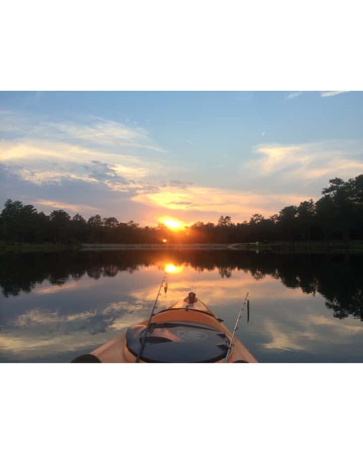Ocean Springs: Guided Kayak Tour - Why This Tour Works