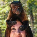 Off Road ATV Cenote Monkeys and Snorkel with Sea Turtles - Setting the Scene: What to Expect