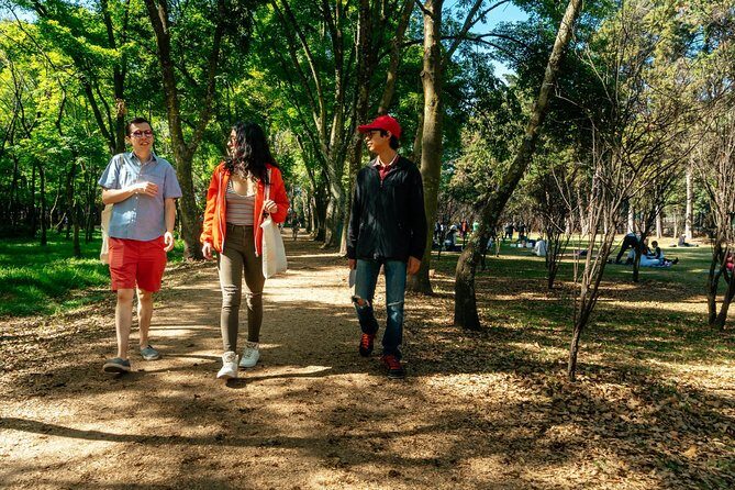 Off the Beaten Track in Mexico City: Private City Tour - What This Tour Means for Travelers