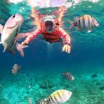 Official Chankanaab Beach Park Day pass with Lunch included - Final Thoughts: Is It Worth It?