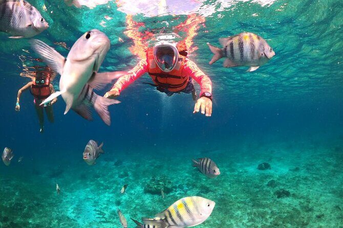 Official Chankanaab Beach Park Day pass with Lunch included - Final Thoughts: Is It Worth It?