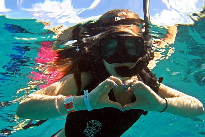 Official Chankanaab Beach Park Day pass with Snorkeling - The Overview of the Chankanaab Experience